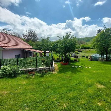 Village Flower Ivy Montenegro Niksic Exterior foto