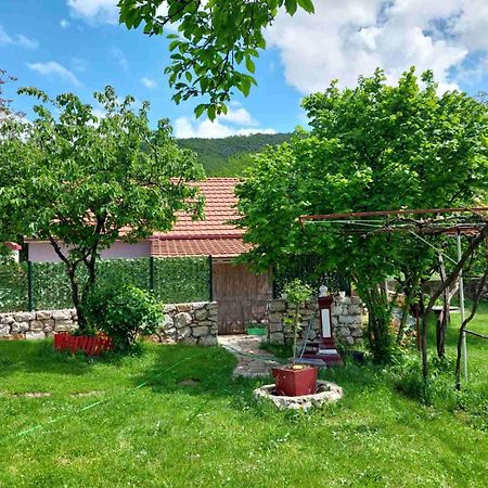 Village Flower Ivy Montenegro Niksic Exterior foto