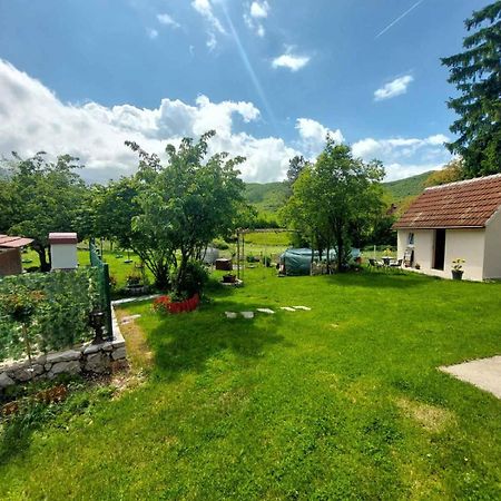 Village Flower Ivy Montenegro Niksic Exterior foto