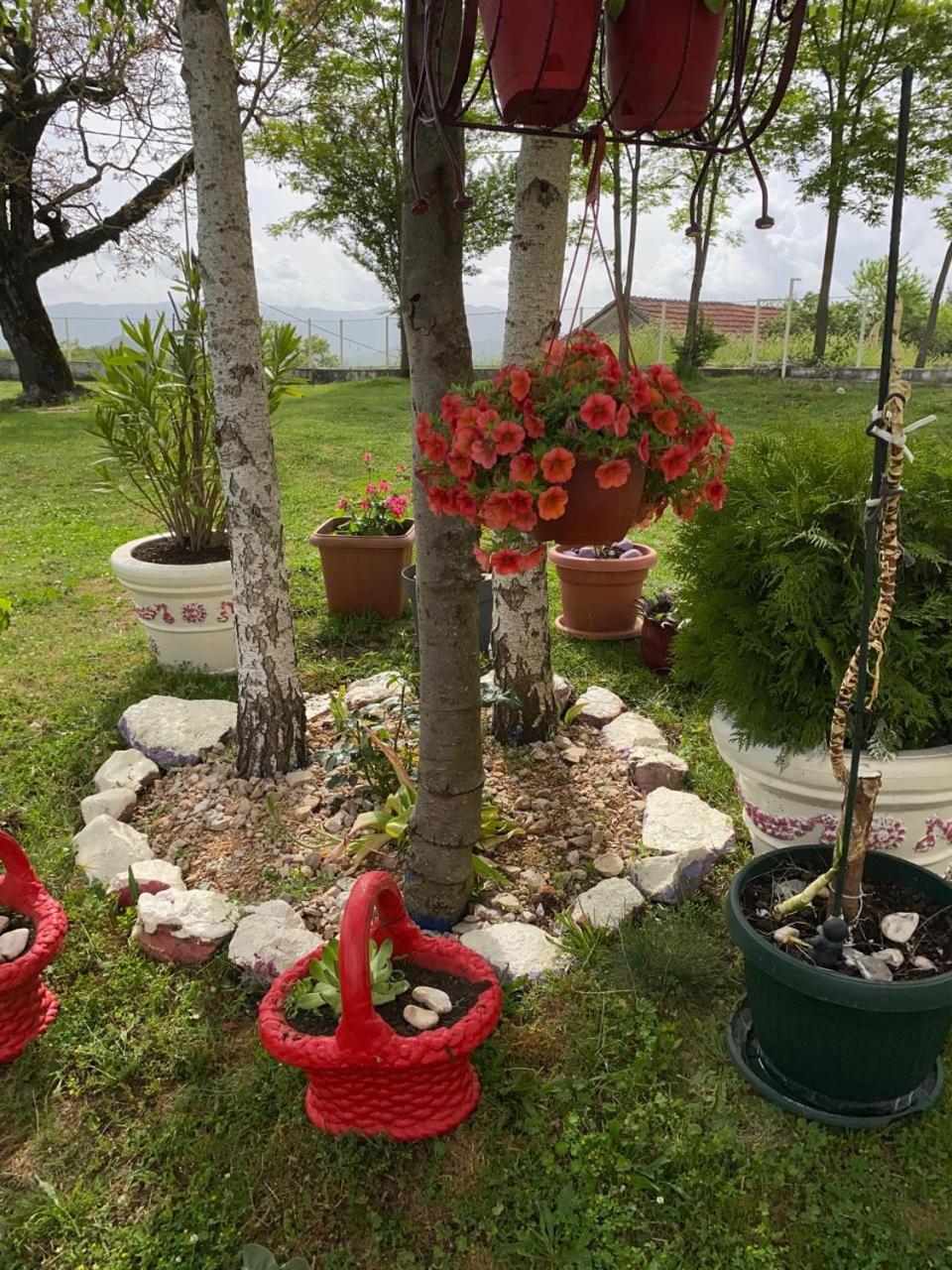 Village Flower Ivy Montenegro Niksic Exterior foto
