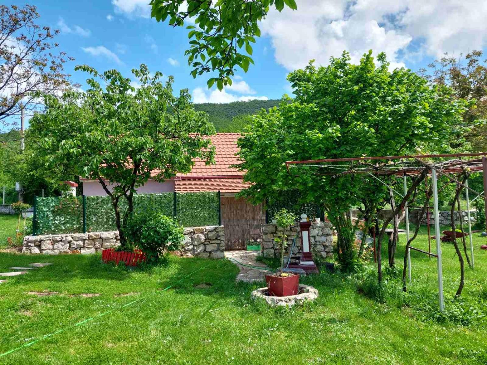 Village Flower Ivy Montenegro Niksic Exterior foto